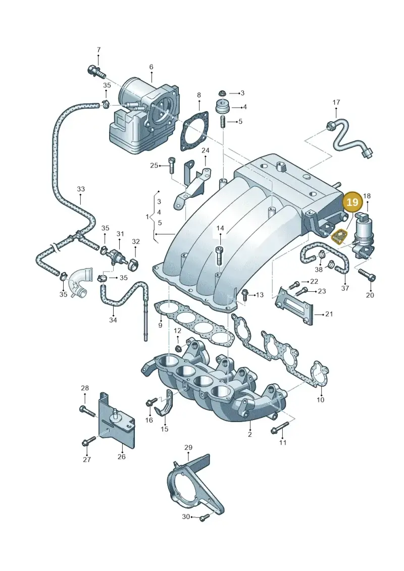 06A131547K — SEAT Alhambra (2006-2010) diagram 244133100, position 19