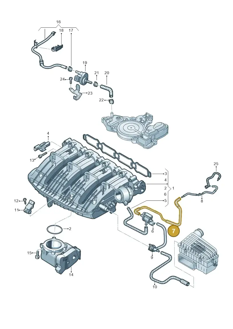06Q133773A — SEAT Formentor TSI CUPRA (2020-) diagram 813133090, position 7