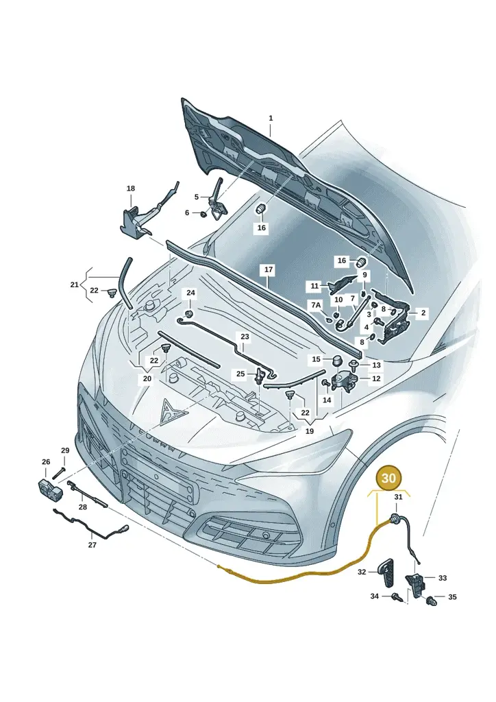 11H823535 — SEAT CUPRA Tavascan (2023-) diagram 20h823000, position 30