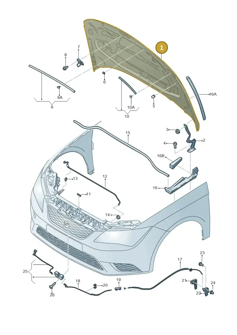5F0823031C — SEAT Leon ST (2016-2020) diagram 754823000, position 1