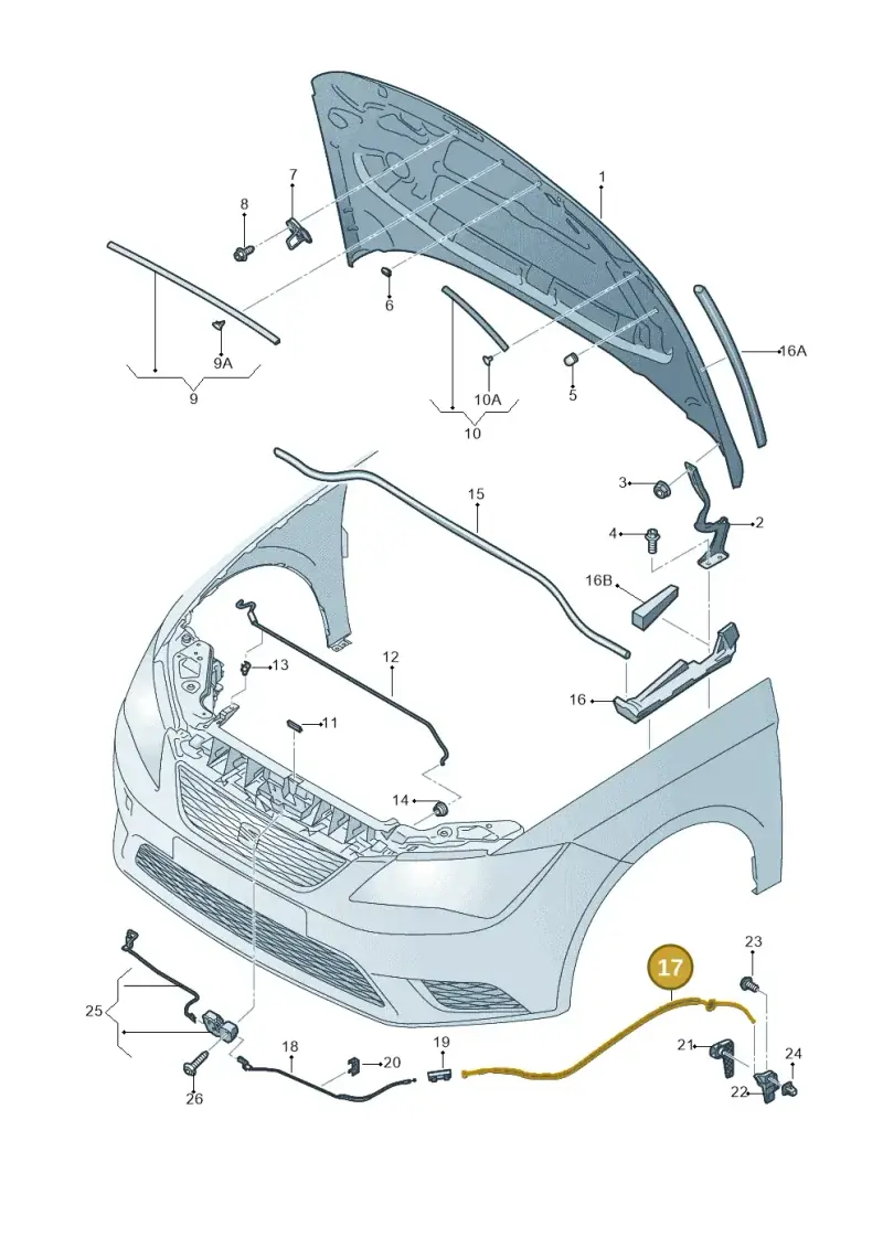 5F0823535B — SEAT Leon ST (2016-2020) diagram 754823000, position 17