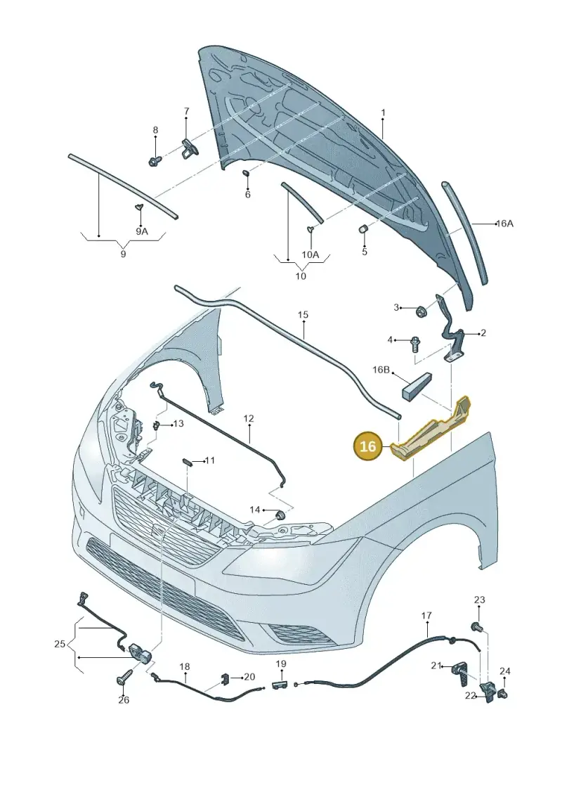 5F0823721A — SEAT Leon ST (2016-2020) diagram 754823000, position 16