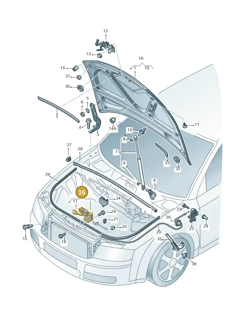 8E0823509D — SEAT Exeo ST Reference (2008-2011) diagram 249823100, position 16