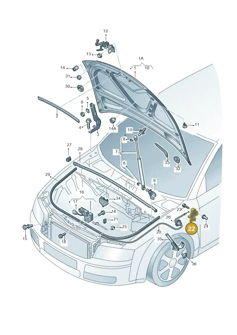 8E1823533B01C — SEAT Exeo ST Reference (2008-2011) diagram 249823100, position 22