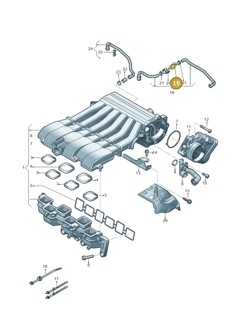 06D133517B — Skoda Superb (2013-2015) diagram 627133850, position 19