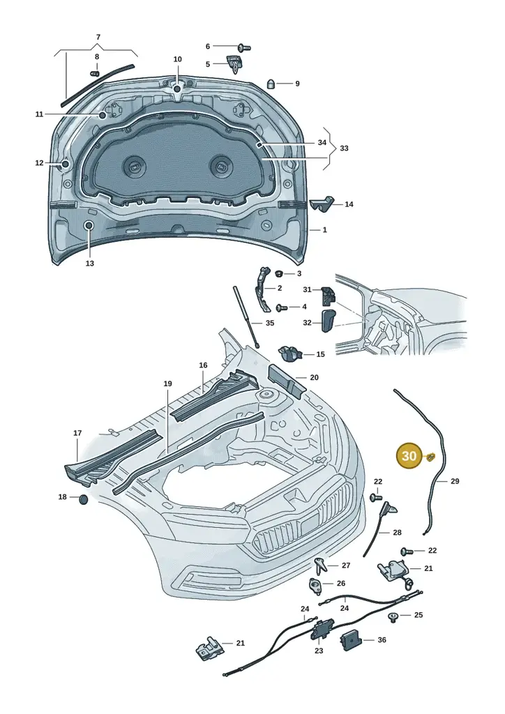 1T0823567 — Skoda Kodiaq (2024-) diagram 57h823000, position 30