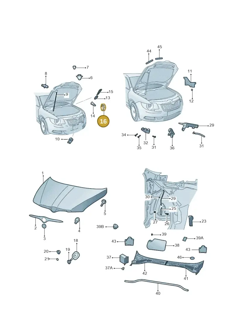1Z0823429 — Skoda Superb Ambition (2009-2015) diagram 671823100, position 16