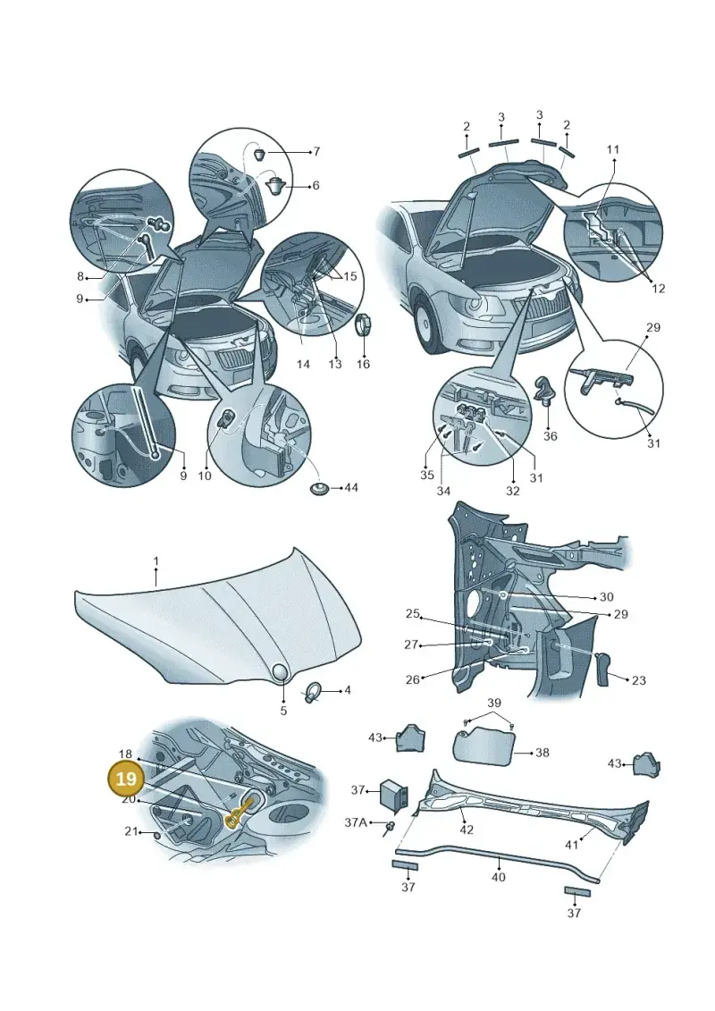 357823591 — Skoda Superb (2013-2015) diagram 768823100, position 19