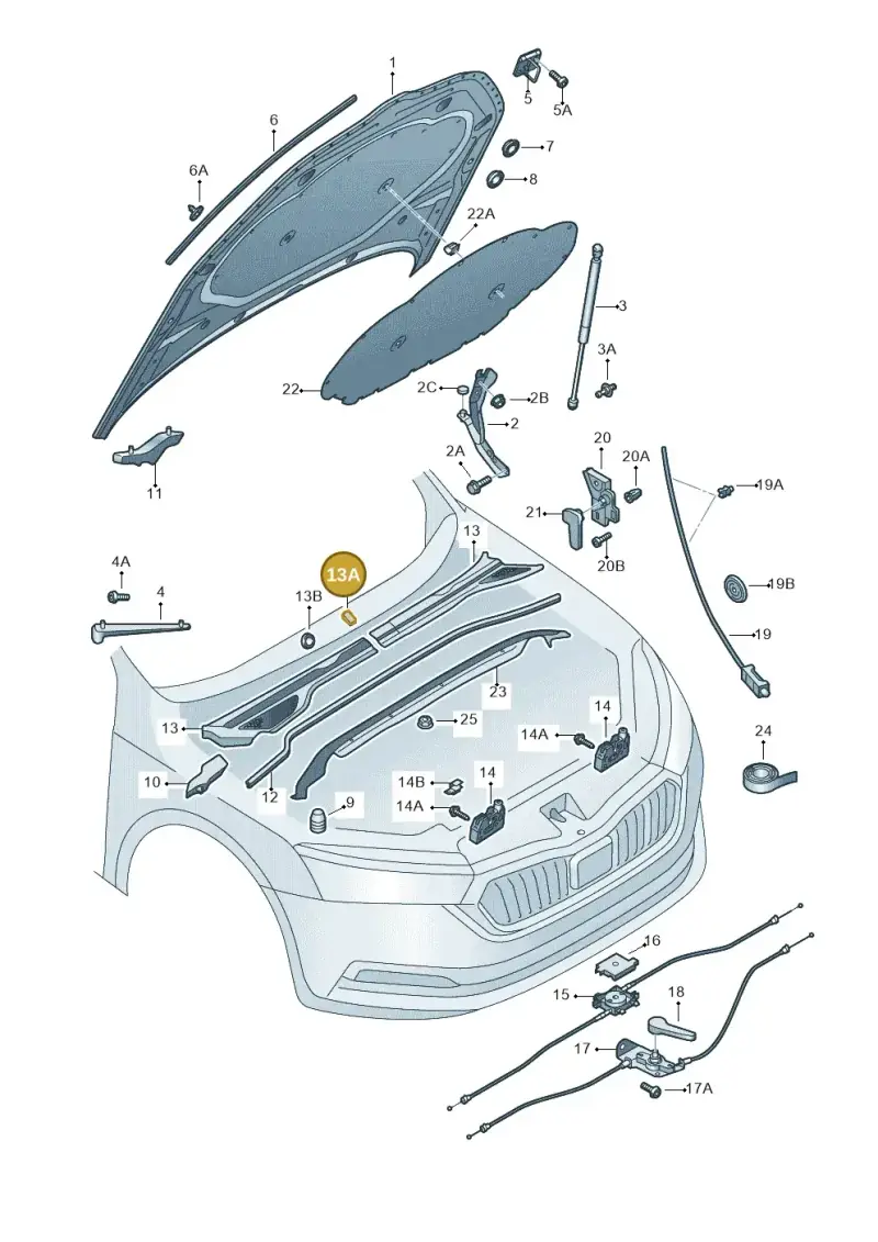 6F0819145 — Skoda Octavia (2019-2024) diagram 585823000, position 13A