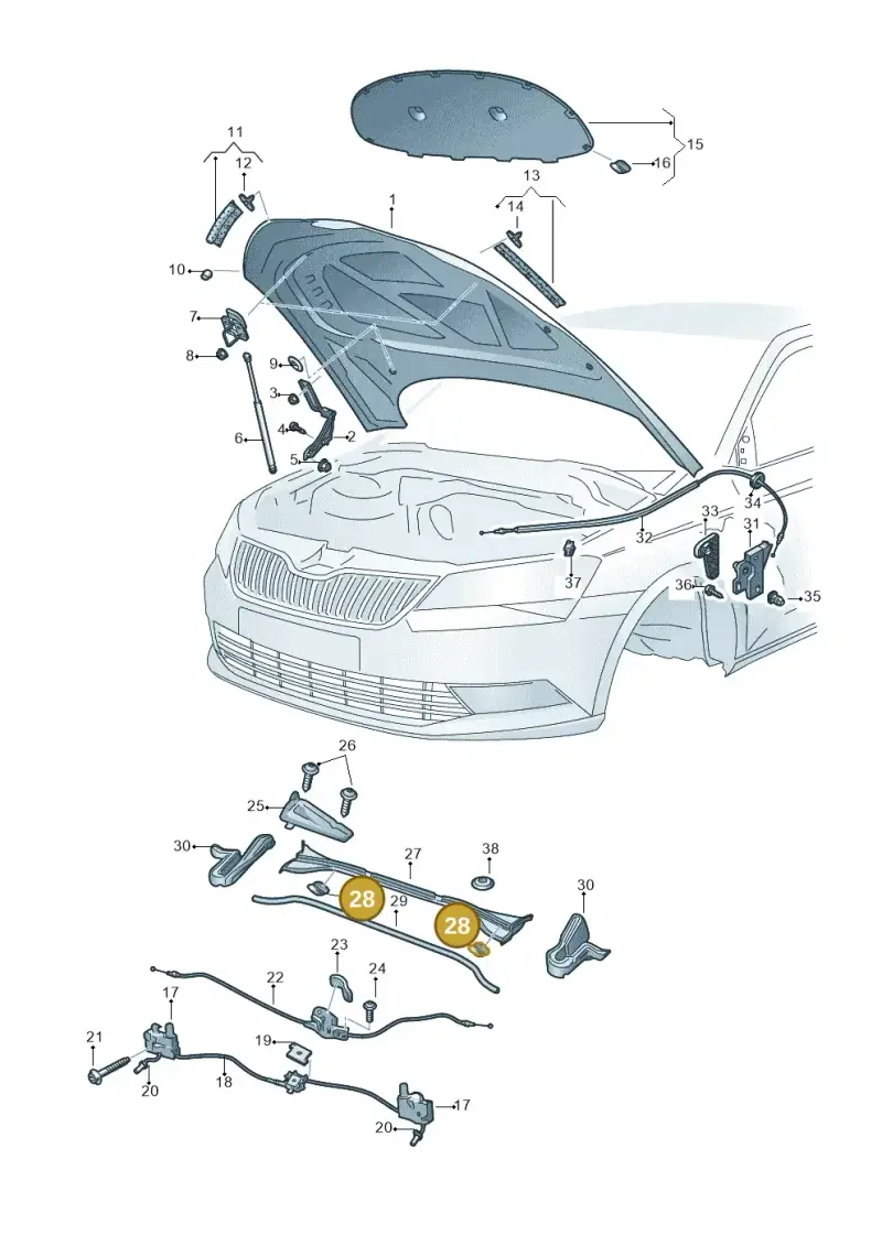 6F0819145 — Skoda Superb Combi (2015-2024) diagram 851823100, position 28