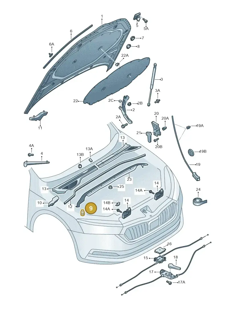 6K0823499C — Skoda Octavia (2019-2024) diagram 585823000, position 9