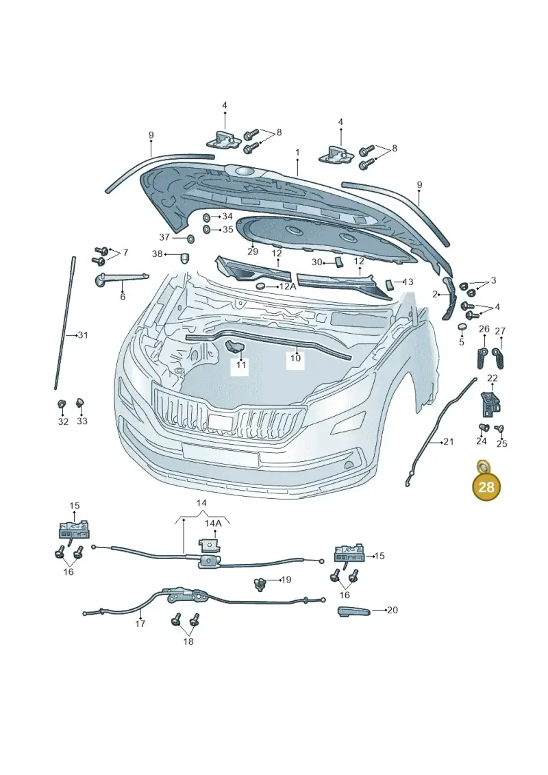6N0419044 — Skoda Kamiq (2019-) diagram 584823000, position 28