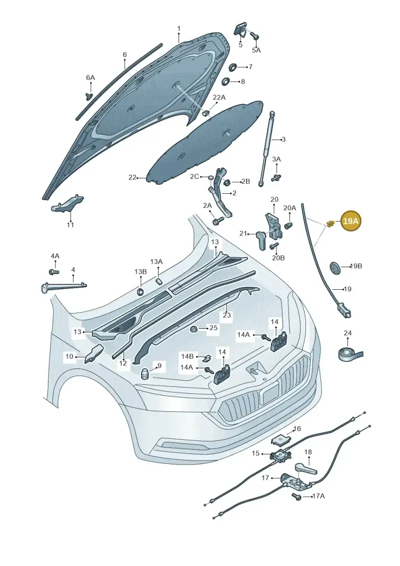 6Q0823567 — Skoda Octavia (2019-2024) diagram 585823000, position 19A
