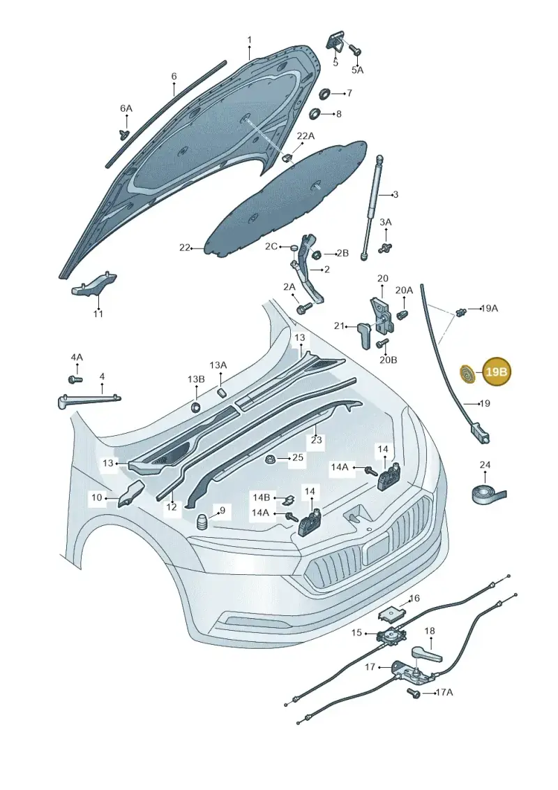 N10246001 — Skoda Octavia (2019-2024) diagram 585823000, position 19B