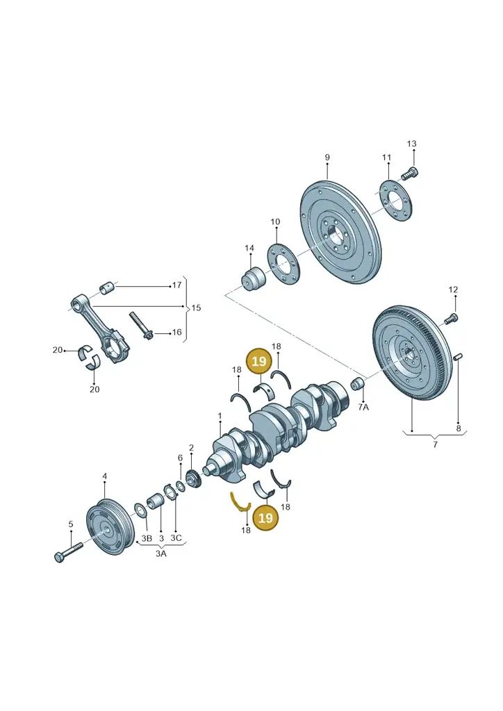 036105561D007 — Volkswagen Jetta (2014-2017) diagram 253105150, position 19