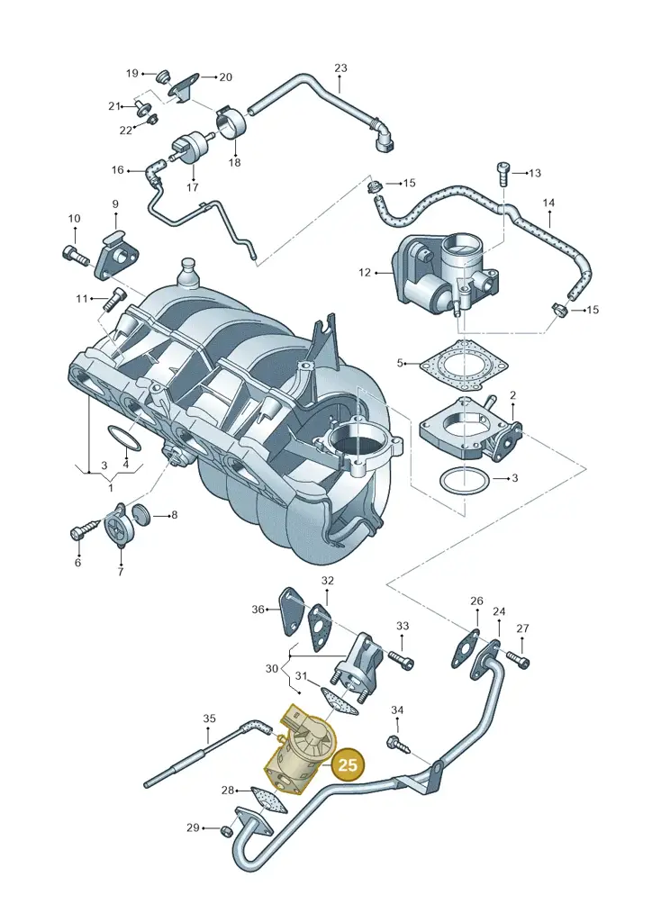 036131503M — Volkswagen New Beetle 06> (2005-) diagram 269133100, position 25