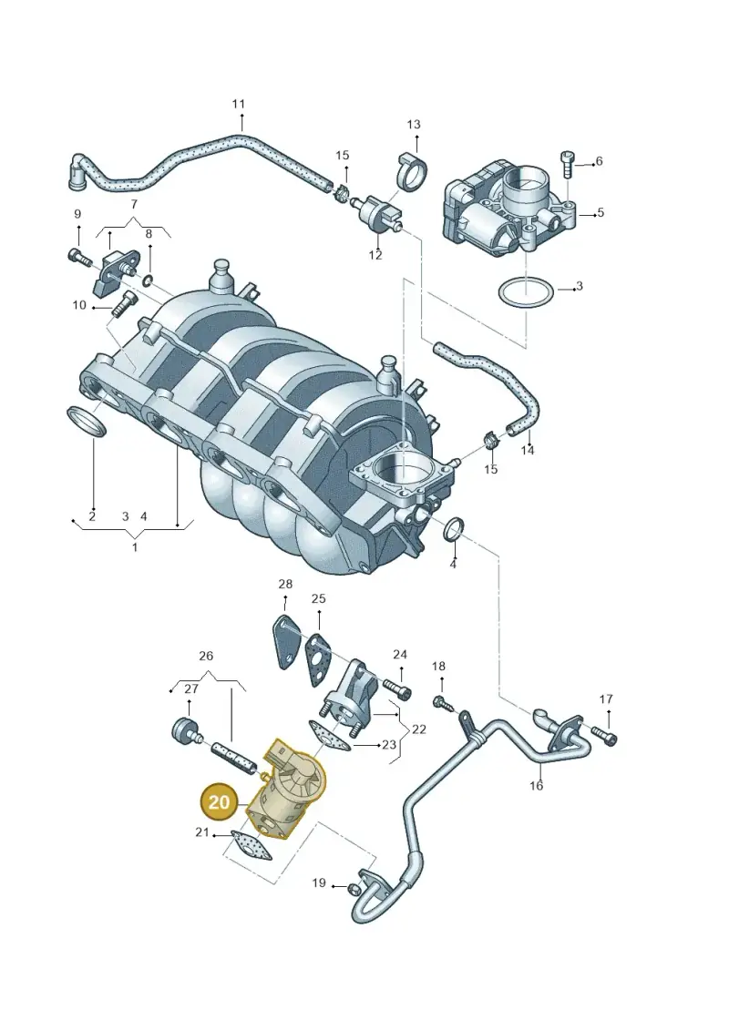 036131503T — Volkswagen GOLF PLUS              05> (2005-) diagram 443133100, position 20