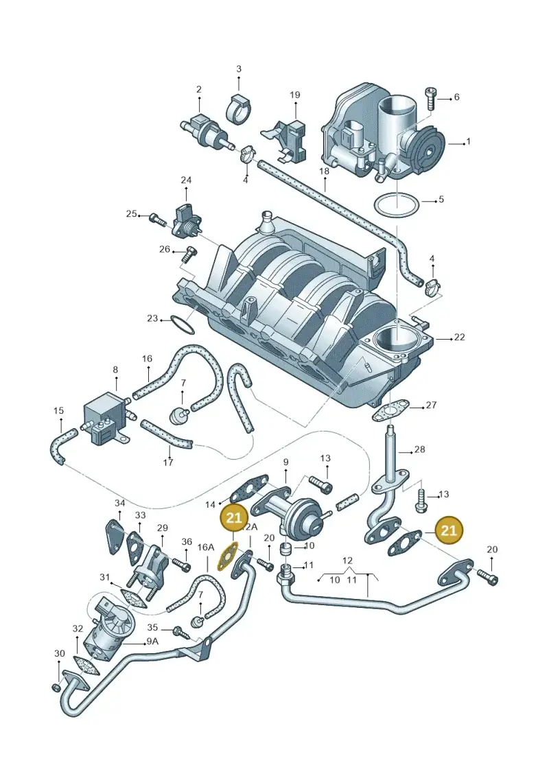 036131550A — Volkswagen LUPO/3L TDI (2003-2005) diagram 158133240, position 21