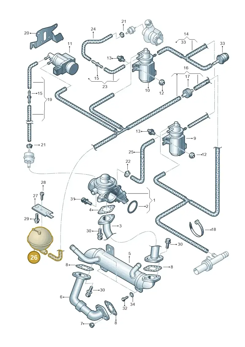 038129807 — Volkswagen Sharan (2008-2010) diagram 244131250, position 26