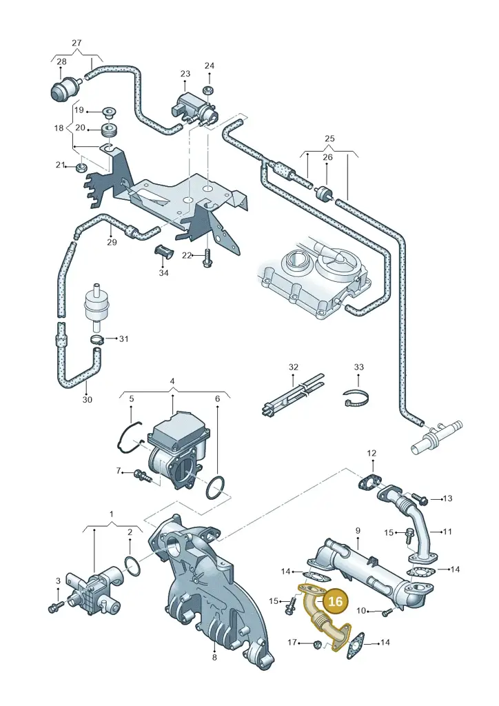 038131521BD — Volkswagen Transp. caravelle (2008-2009) diagram 630131700, position 16