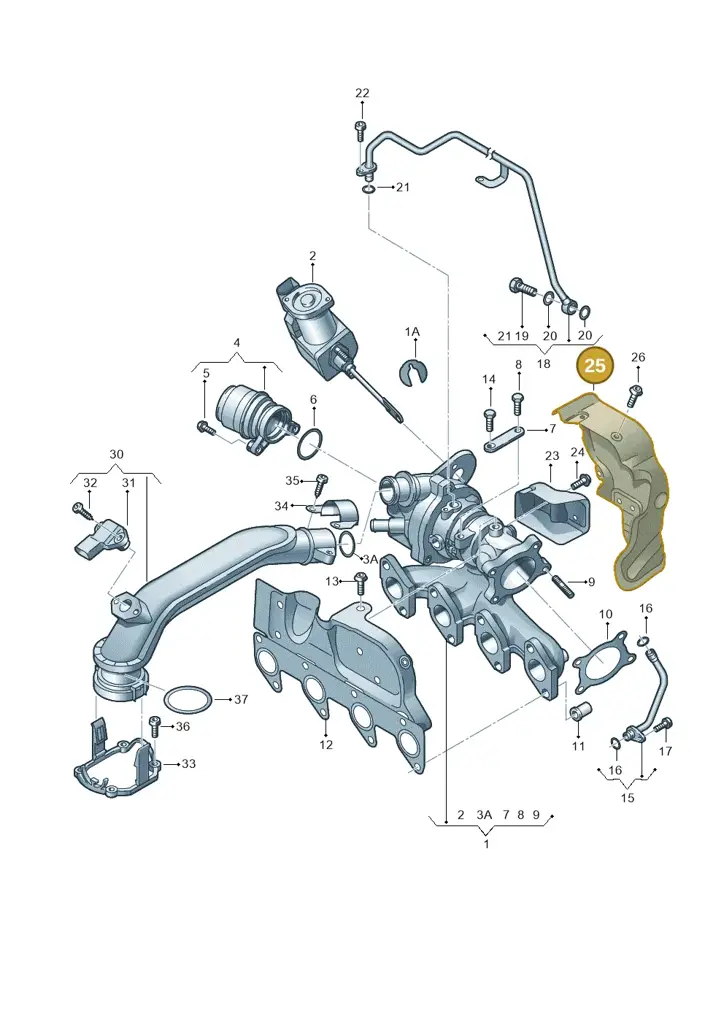 03F253041M — Volkswagen Golf Cabriolet (2011-2016) diagram 729145500, position 25