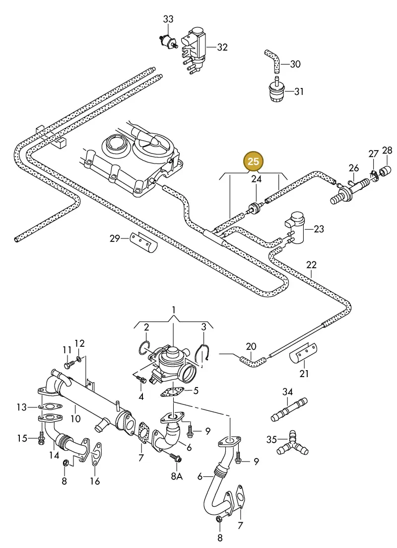 03G131055BE — Volkswagen DIES.-IND.-MOT.1,9>2,0 08> (2007-) diagram 425131150, position 25