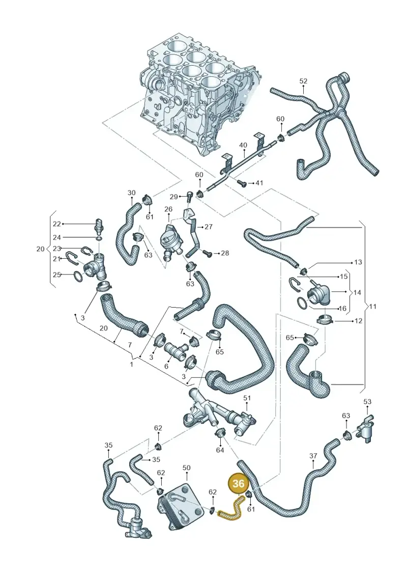 03H121096E — Volkswagen Atlas Cross Sport (2019-2023) diagram 829121000, position 36