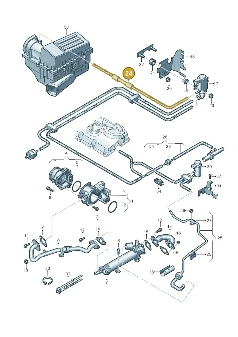 03L131055C — Volkswagen Golf estate (2009-2013) diagram 634131400, position 24