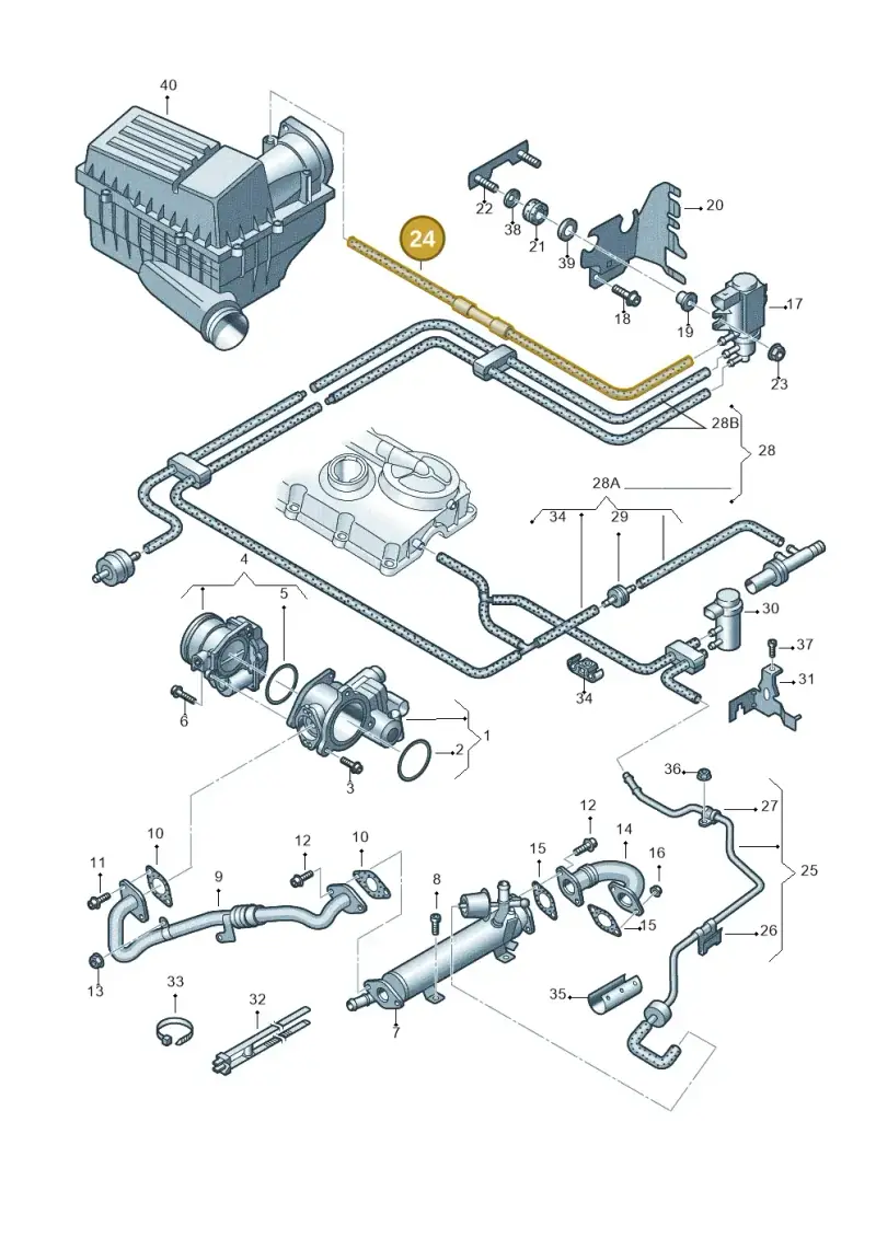 03L131055C — Volkswagen Golf Plus 1.6 (2009-2011) diagram 649131500, position 24
