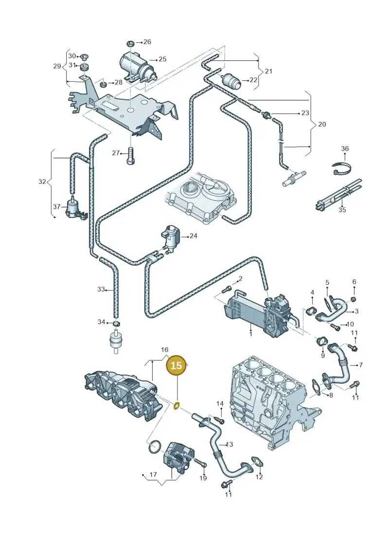 03L131120A — Volkswagen Caravelle (2015-2019) diagram 732131520, position 15