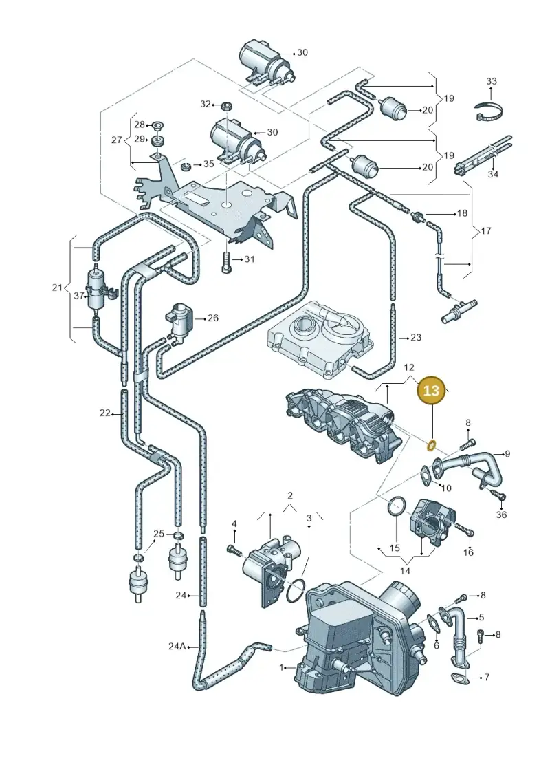 03L131120A — Volkswagen Caravelle (2015-2019) diagram 732131600, position 13