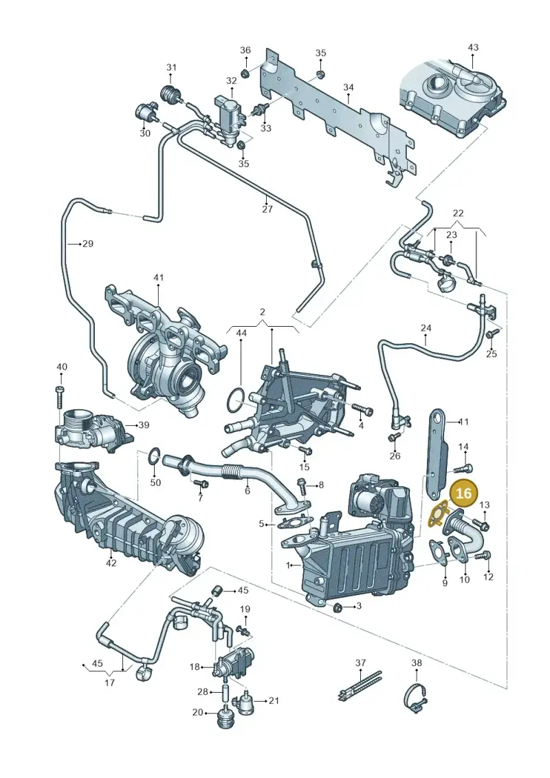 03L131547P — Volkswagen Caravelle (2015-2019) diagram 862131150, position 16