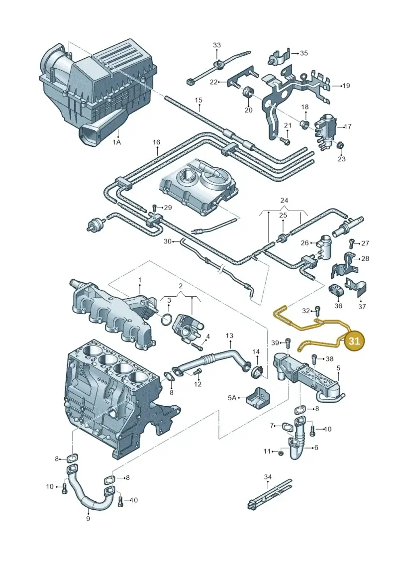 03L131605M — Volkswagen Caddy kombi (2015-2020) diagram 694131500, position 31
