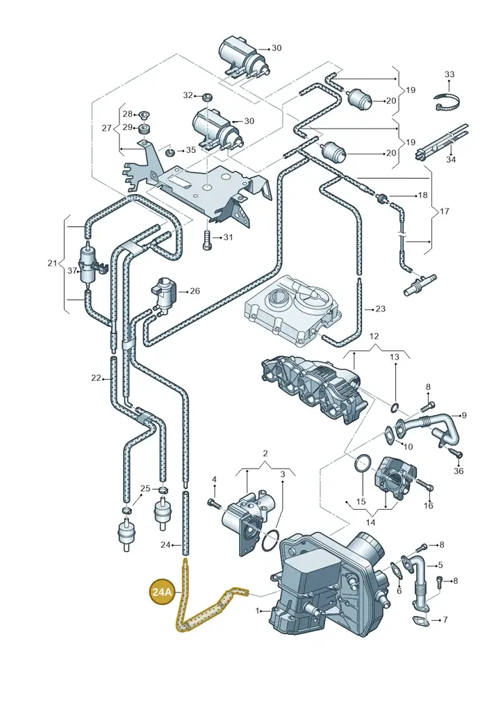 03L133241 — Volkswagen Caravelle (2015-2019) diagram 732131600, position 24A