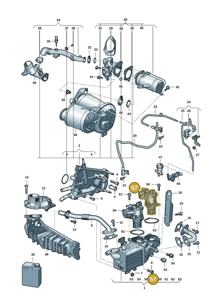 04L131501AA — Volkswagen Transport. multivan (2019-2024) diagram 7ep131020, position 57