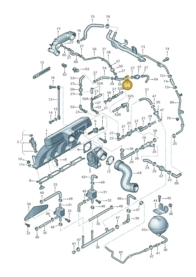 058133459F — Volkswagen PASSAT/4MOTION/W8 (2002-2005) diagram 404133250, position 56