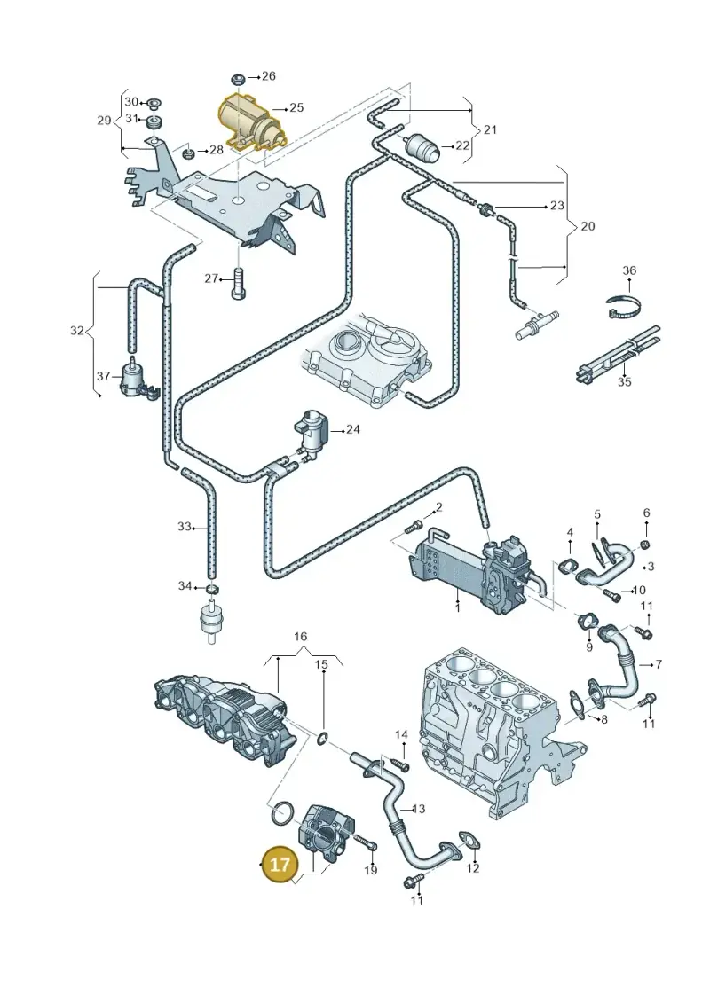 059145865 — Volkswagen Caravelle (2015-2019) diagram 732131520, position 17