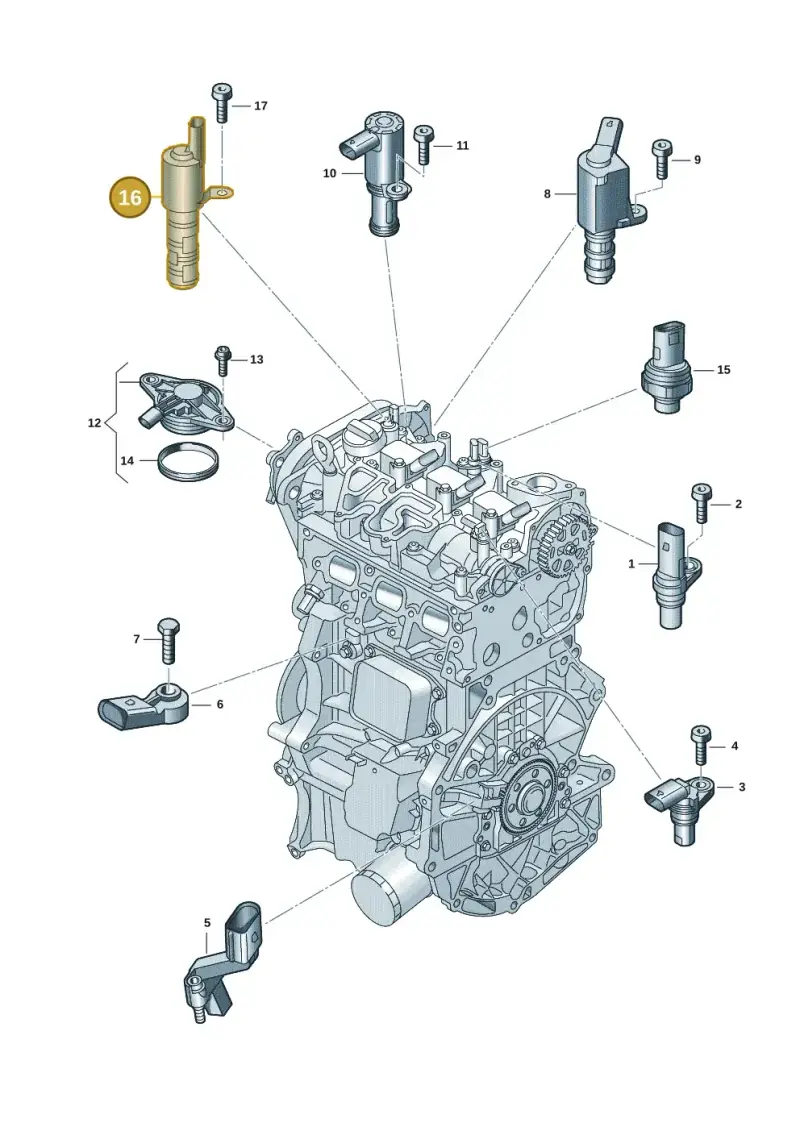 05C906455A — Volkswagen Taigo (2021-2024) diagram 907601007, position 16