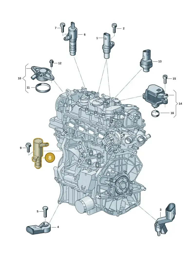 05C906455D — Volkswagen Passat estate (2023-) diagram 907601006, position 8