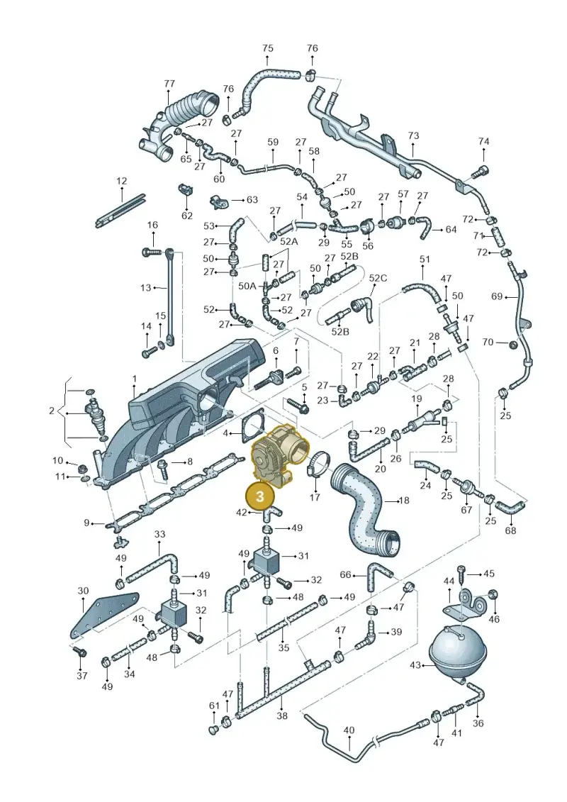 06B133062M — Volkswagen PASSAT/4MOTION/W8 (2002-2005) diagram 404133250, position 3