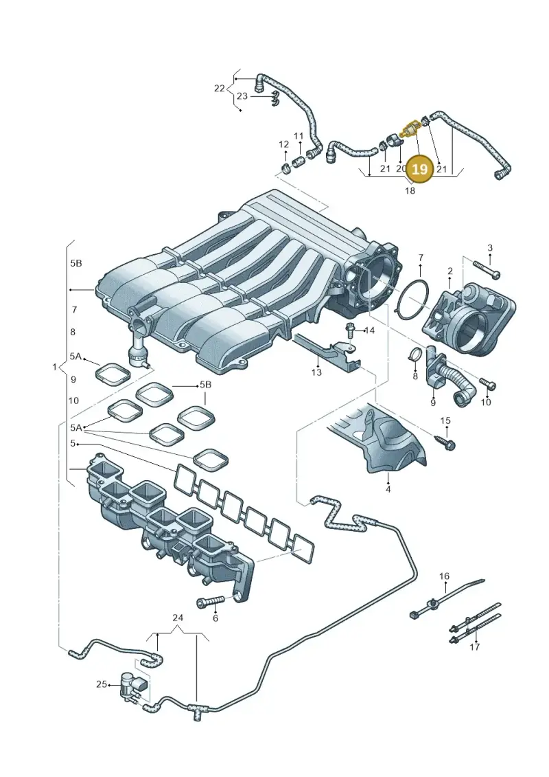 06D133517B — Volkswagen Phaeton 4motion (2010-2016) diagram 667133850, position 19