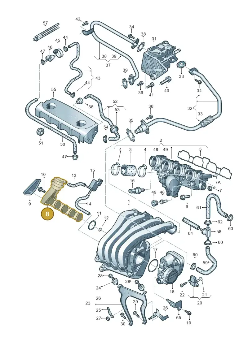 06F133619A — Volkswagen Passat estate (2008-2011) diagram 420133300, position 8