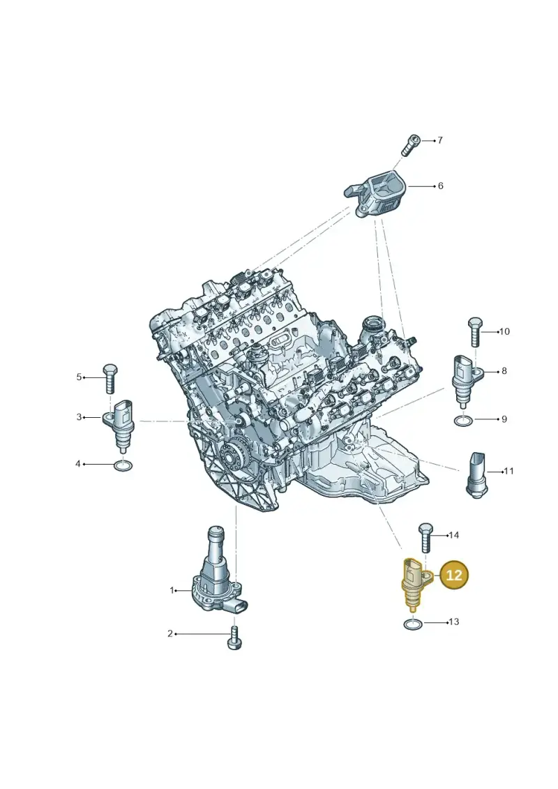 079919525C — Volkswagen Touareg (2017-2023) diagram 439919070, position 12