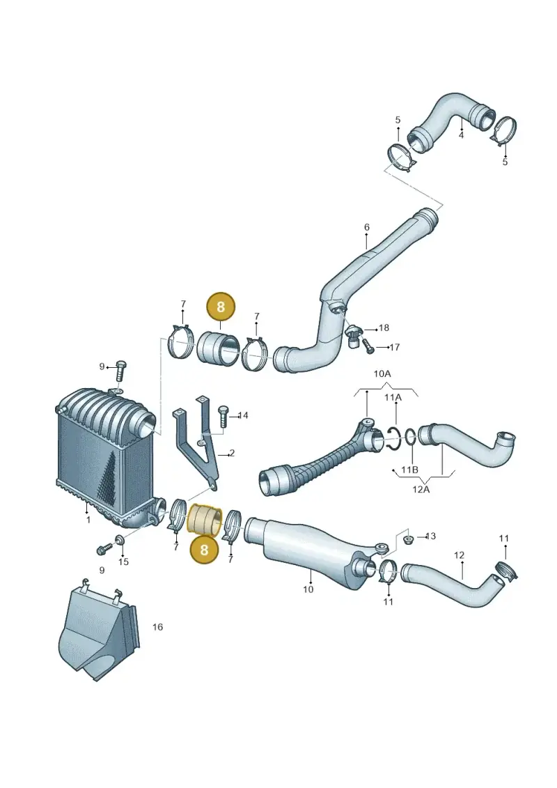 1J0145834A — Volkswagen Jetta/Wagon (2002-2006) diagram 203145800, position 8