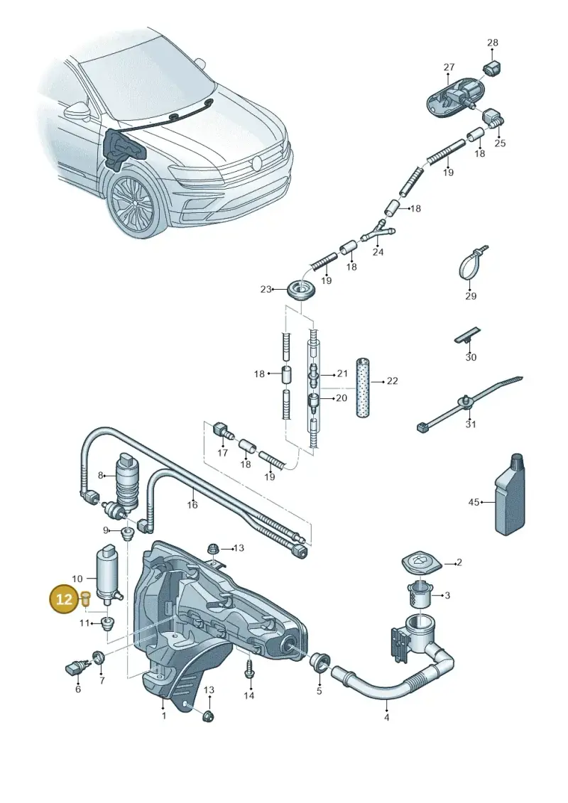 444955647 — Volkswagen Tiguan 2.0 4Motion (2017-2024) diagram 884955150, position 12