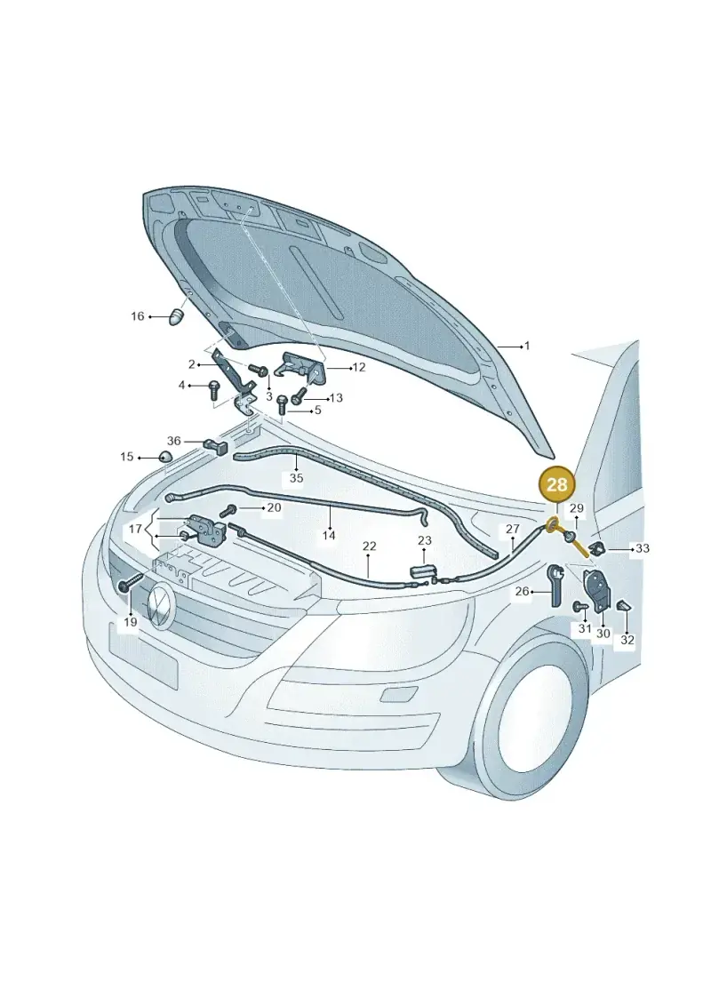 5M0823544 — Volkswagen Tiguan (2009-2019) diagram 688823000, position 28