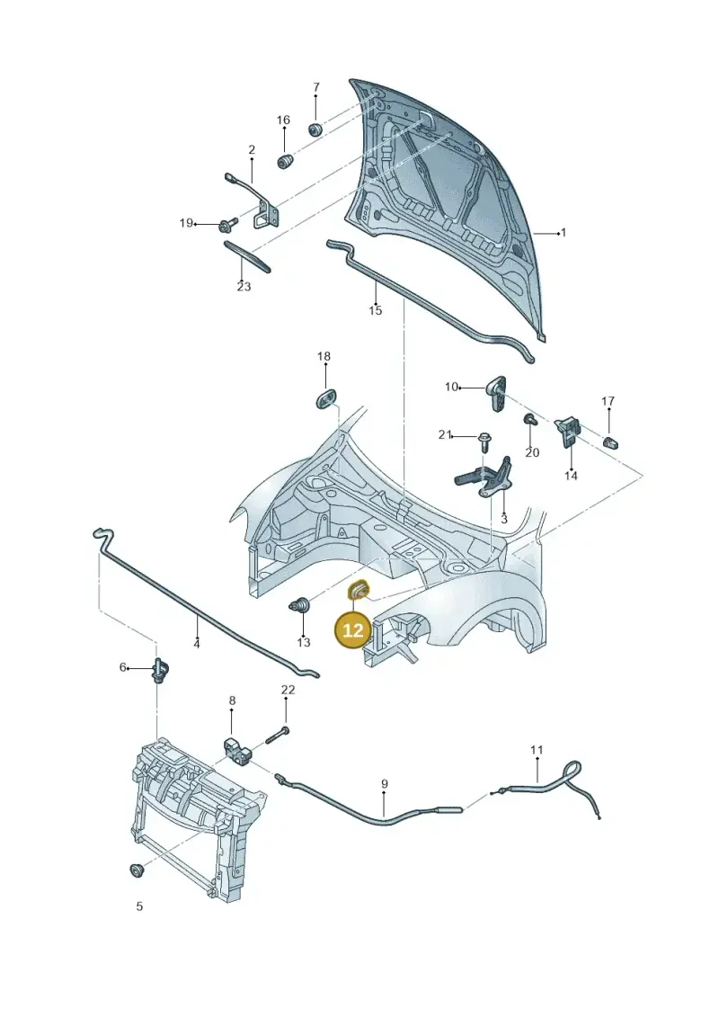 5M0823544 — Volkswagen Beetle (2016-2019) diagram 801823100, position 12