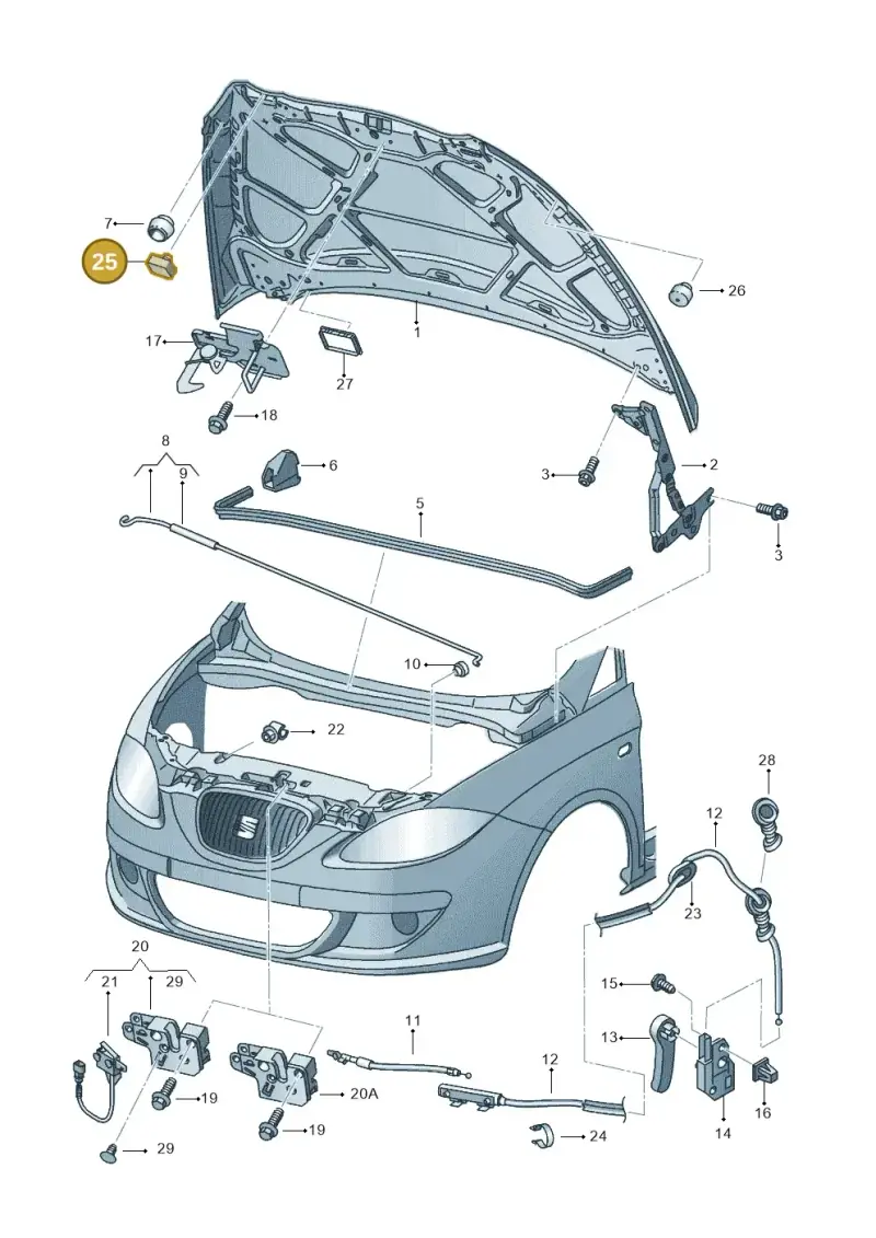 6H0823481A — SEAT Altea XL (2013-) diagram 498823000, position 25