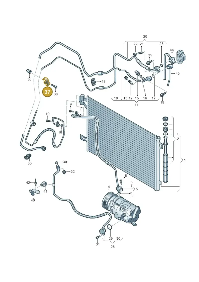 7E0820775 — Volkswagen Caravelle (2015-2019) diagram 861260450, position 37