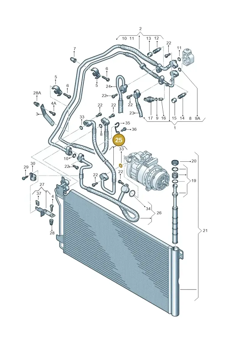 7H0820721AE — Volkswagen Transp. caravelle (2008-2009) diagram 611820200, position 25